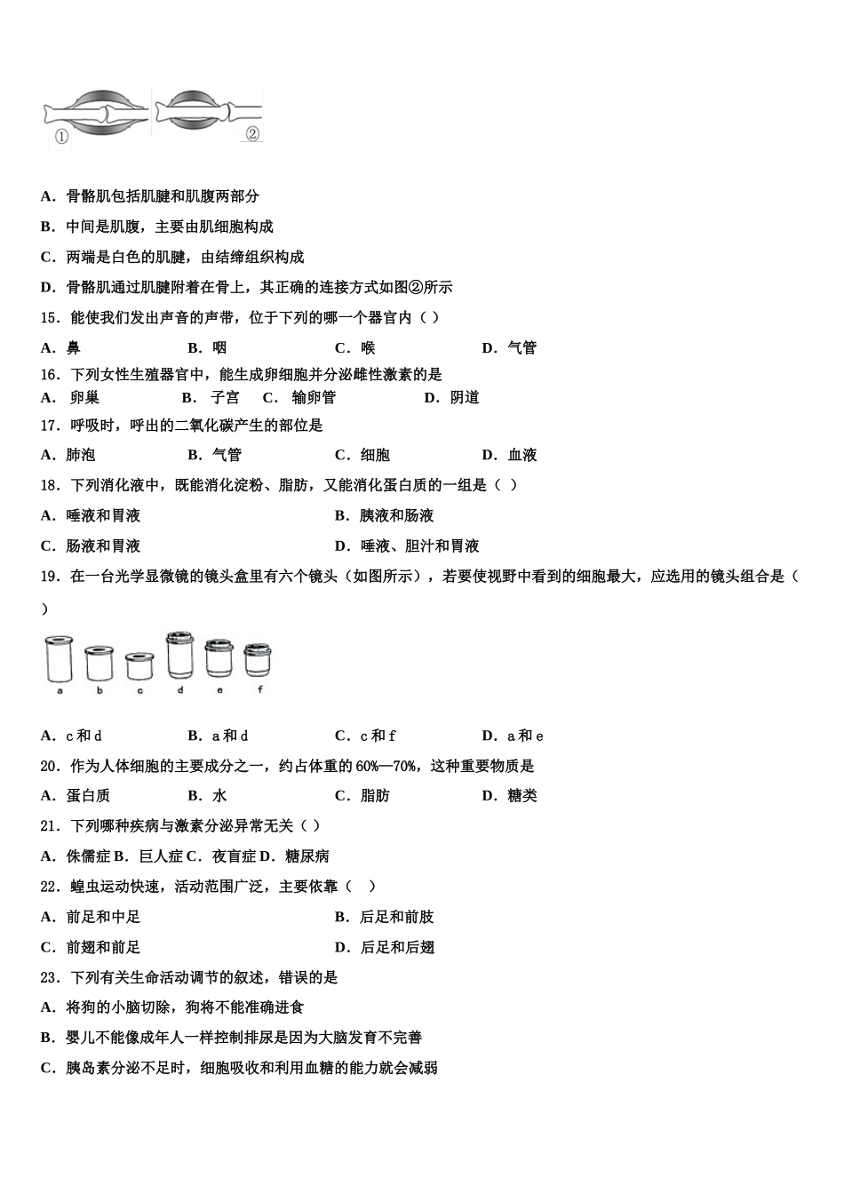河南省开封市金明中学2025年七年级生物第二学期期末达标检测模拟试题含解析_第3页