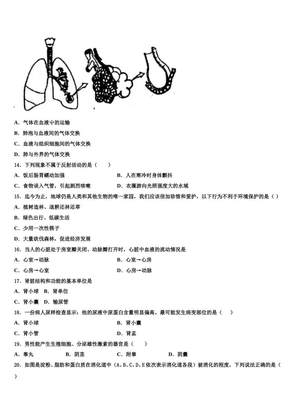 2025届河南省平顶山市宝丰县生物七下期末综合测试模拟试题含解析_第3页
