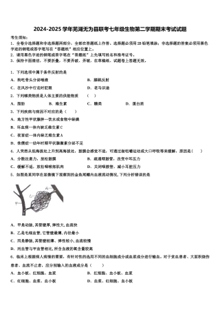 2024-2025学年芜湖无为县联考七年级生物第二学期期末考试试题含解析