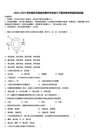 2024-2025学年重庆市鲁能巴蜀中学生物七下期末教学质量检测试题含解析
