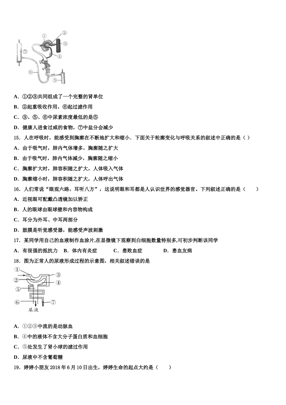 重庆綦江南川巴县2024-2025学年七年级生物第二学期期末联考试题含解析_第3页