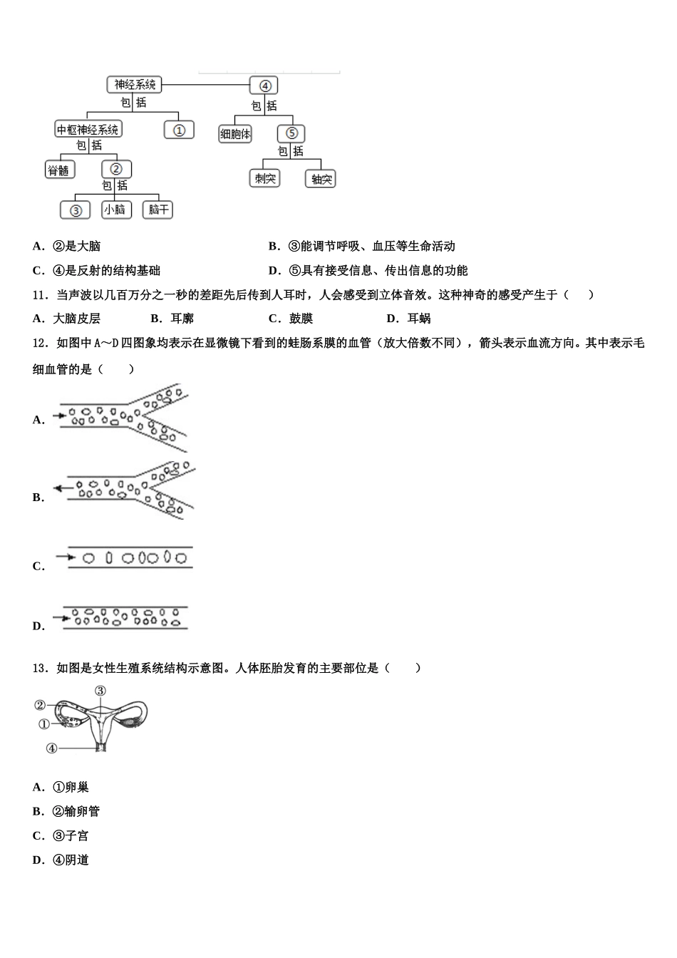 重庆开州区2025年七年级生物第二学期期末联考模拟试题含解析_第2页
