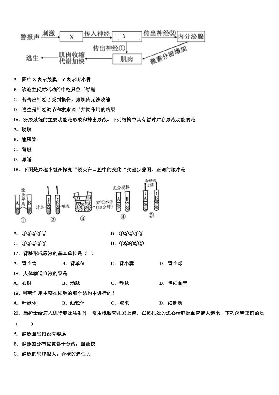 2025届重庆市秀山县七下生物期末检测试题含解析_第3页