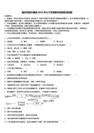 重庆实验外国语2025年七下生物期末质量检测试题含解析