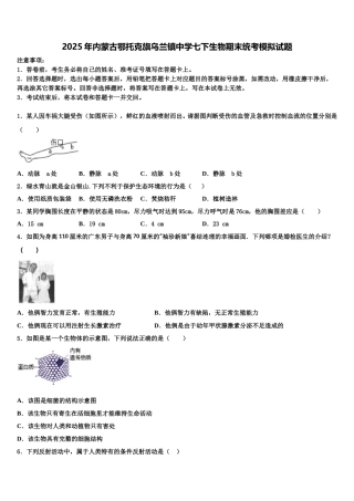 2025年内蒙古鄂托克旗乌兰镇中学七下生物期末统考模拟试题含解析