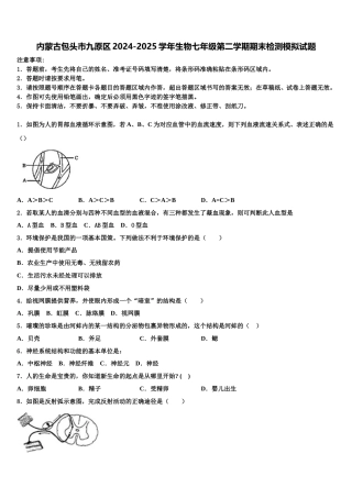内蒙古包头市九原区2024-2025学年生物七年级第二学期期末检测模拟试题含解析
