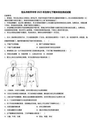 包头市和平中学2025年生物七下期末综合测试试题含解析