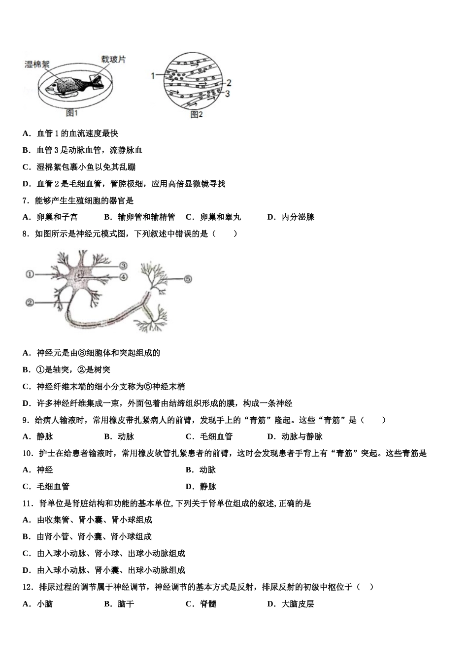 2024-2025学年湖北省通城市隽水镇南门中学生物七年级第二学期期末调研试题含解析_第2页