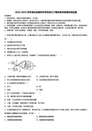2024-2025学年湖北省黄冈中学生物七下期末教学质量检测试题含解析
