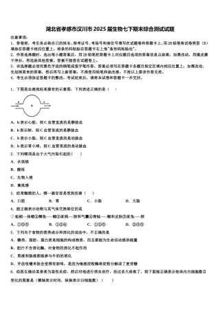 湖北省孝感市汉川市2025届生物七下期末综合测试试题含解析