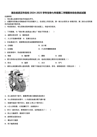 湖北省武汉市名校2024-2025学年生物七年级第二学期期末综合测试试题含解析