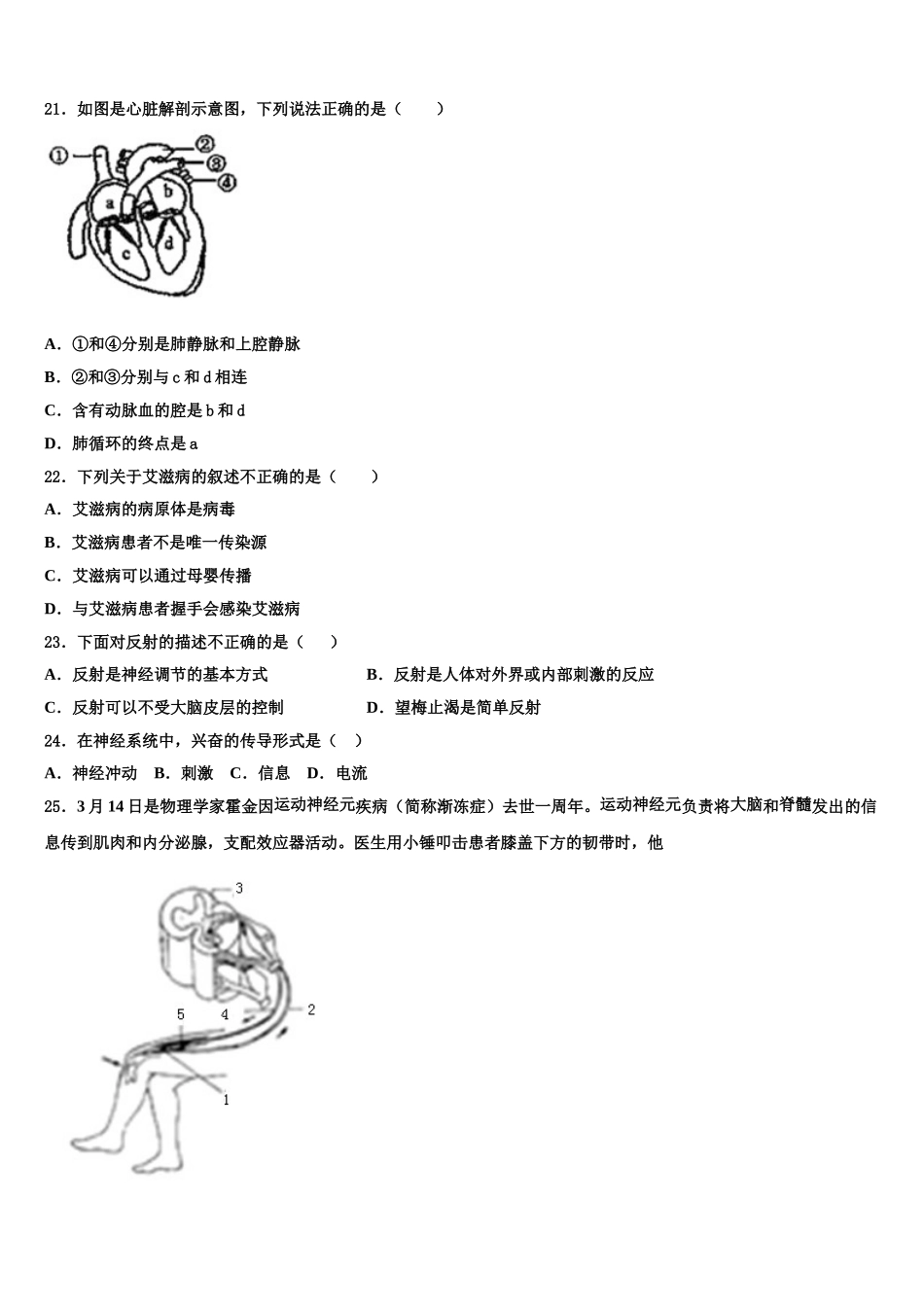 湖北省黄冈实验中学2025年七下生物期末联考试题含解析_第3页