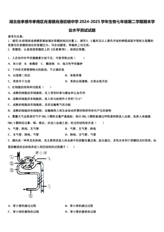 湖北省孝感市孝南区肖港镇肖港初级中学2024-2025学年生物七年级第二学期期末学业水平测试试题含解析