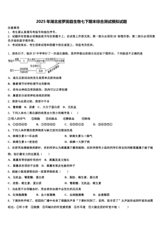 2025年湖北省罗田县生物七下期末综合测试模拟试题含解析