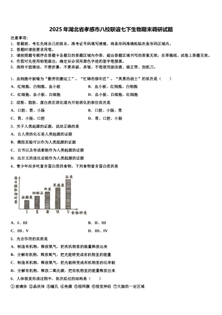 2025年湖北省孝感市八校联谊七下生物期末调研试题含解析