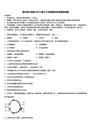 湖北省竹溪县2025届七下生物期末统考模拟试题含解析