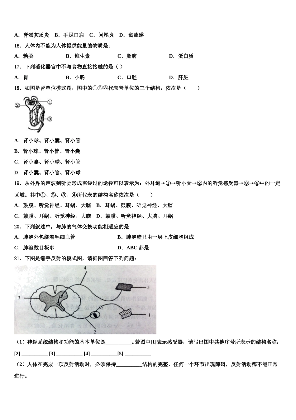 2024-2025学年湖北省黄冈市黄梅县生物七下期末调研模拟试题含解析_第3页
