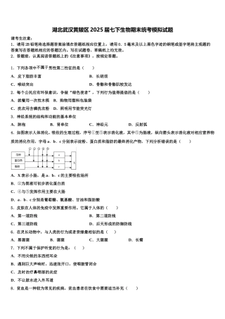 湖北武汉黄陂区2025届七下生物期末统考模拟试题含解析