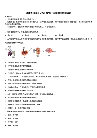 湖北省竹溪县2025届七下生物期末检测试题含解析