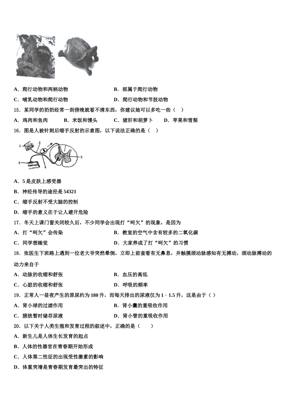 2024-2025学年湖北竹溪县生物七下期末考试模拟试题含解析_第3页