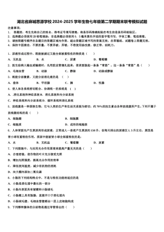 湖北省麻城思源学校2024-2025学年生物七年级第二学期期末联考模拟试题含解析