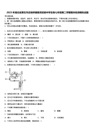 2025年湖北省黄石市还地桥镇南湾初级中学生物七年级第二学期期末检测模拟试题含解析