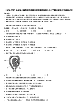 2024-2025学年湖北省黄冈市麻城市思源实验学校生物七下期末复习检测模拟试题含解析