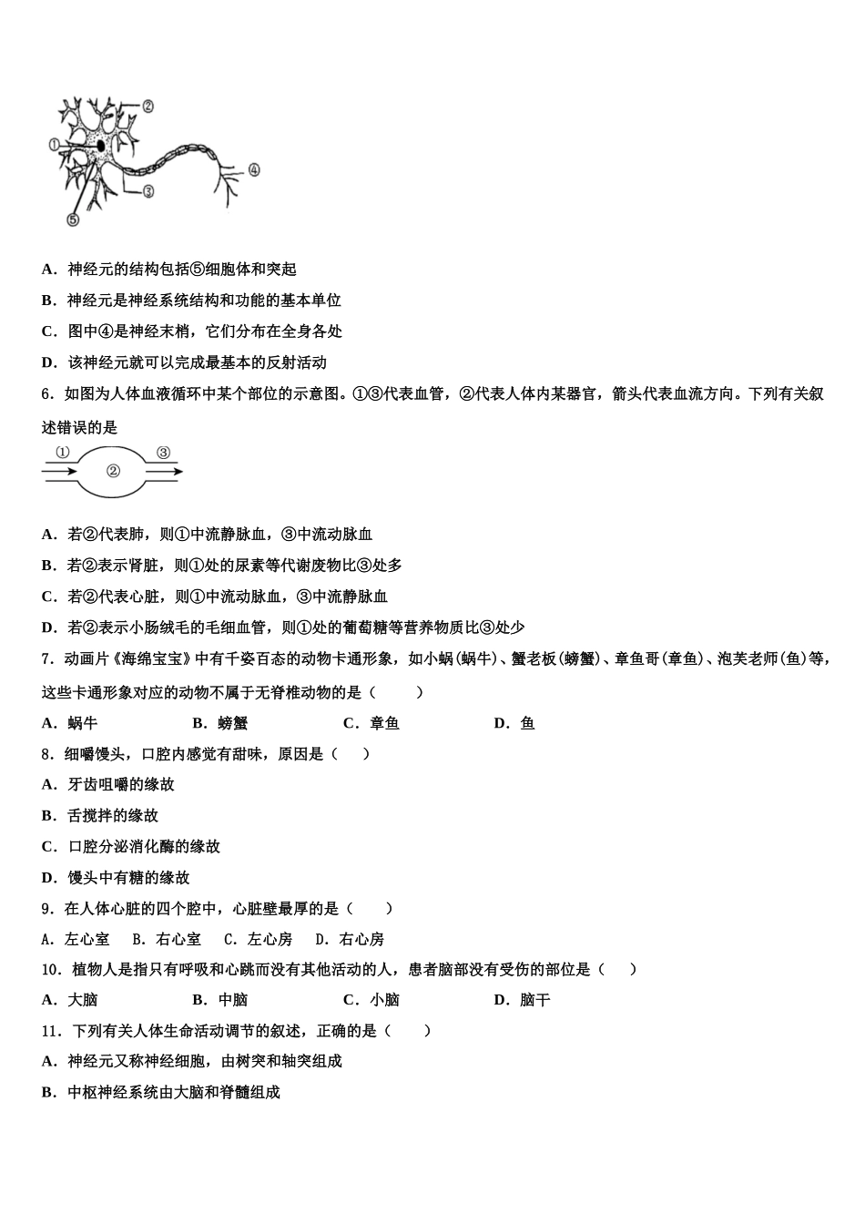 宜昌市重点中学2024-2025学年七下生物期末检测模拟试题含解析_第2页