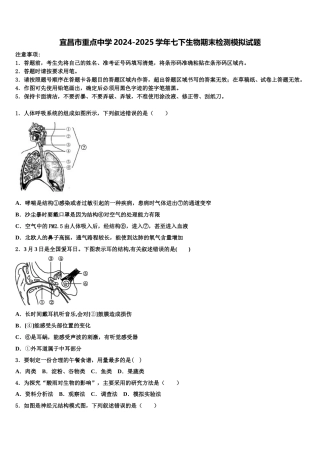 宜昌市重点中学2024-2025学年七下生物期末检测模拟试题含解析