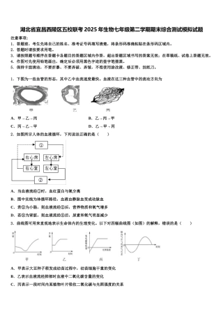 湖北省宜昌西陵区五校联考2025年生物七年级第二学期期末综合测试模拟试题含解析