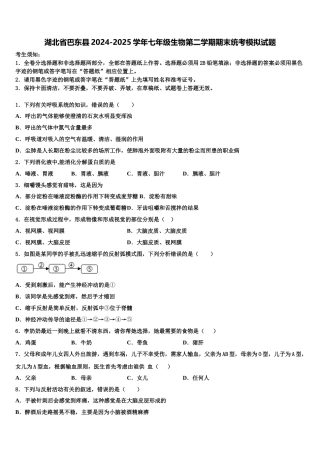 湖北省巴东县2024-2025学年七年级生物第二学期期末统考模拟试题含解析