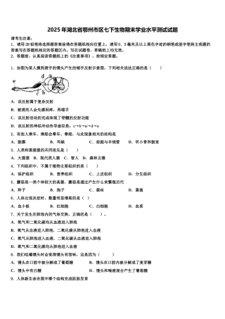 2025年湖北省鄂州市区七下生物期末学业水平测试试题含解析