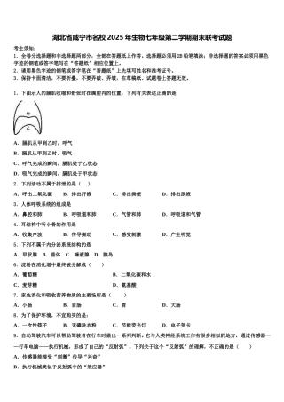 湖北省咸宁市名校2025年生物七年级第二学期期末联考试题含解析