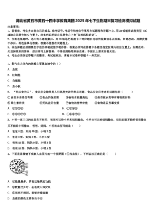 湖北省黄石市黄石十四中学教育集团2025年七下生物期末复习检测模拟试题含解析