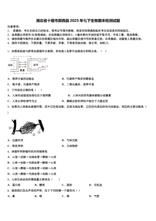 湖北省十堰市郧西县2025年七下生物期末检测试题含解析