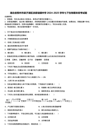 湖北省鄂州市梁子湖区涂家垴镇中学2024-2025学年七下生物期末统考试题含解析