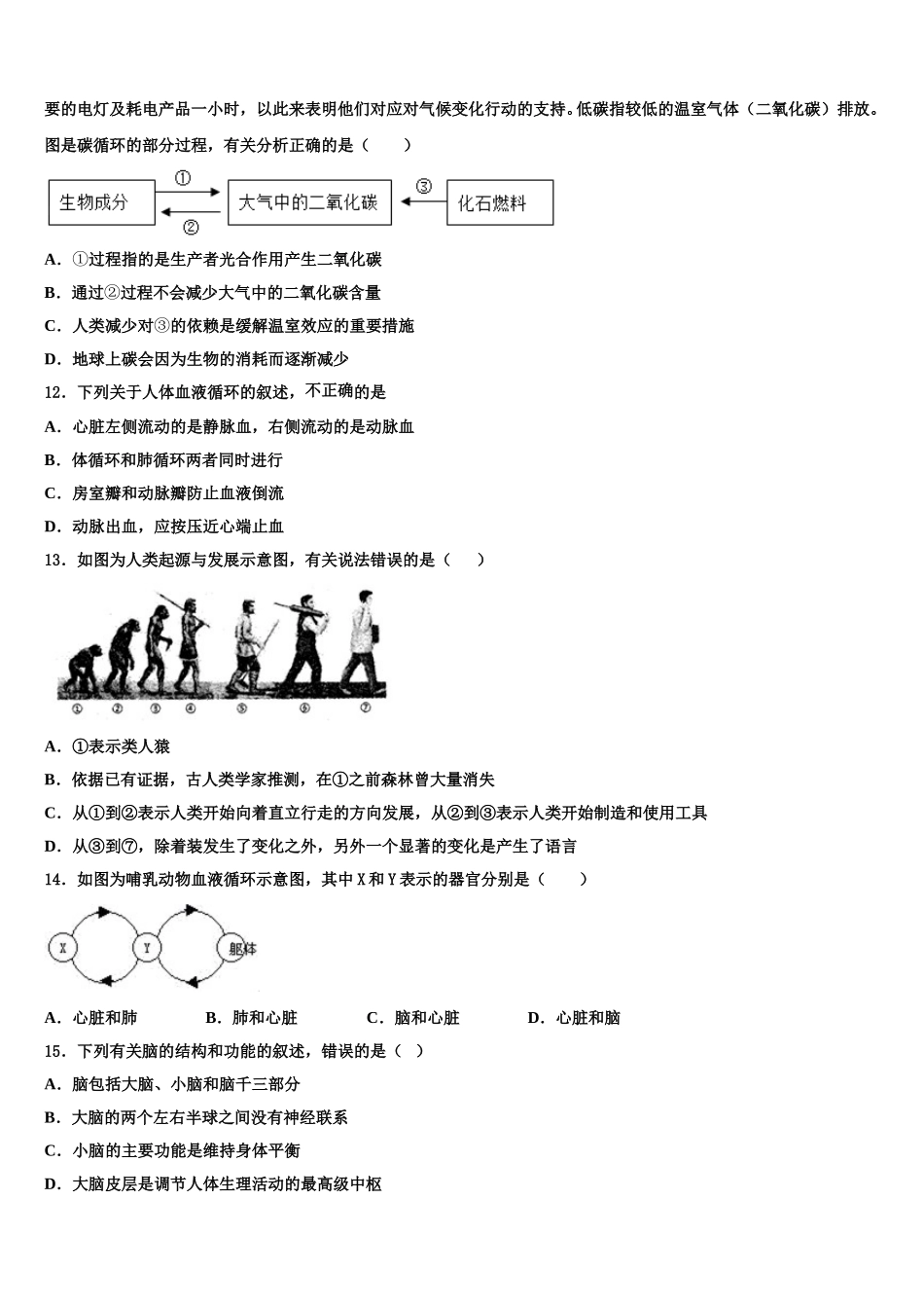 2024-2025学年湖北恩施白杨生物七年级第二学期期末综合测试模拟试题含解析_第3页