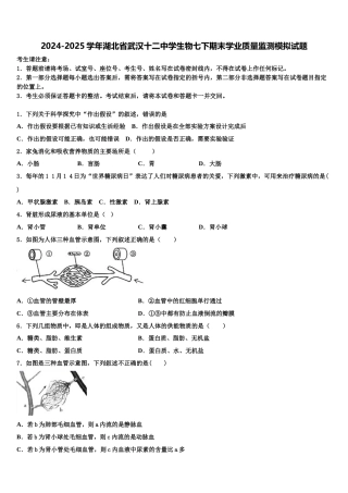 2024-2025学年湖北省武汉十二中学生物七下期末学业质量监测模拟试题含解析