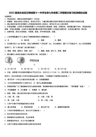 2025届湖北省武汉钢城第十一中学生物七年级第二学期期末复习检测模拟试题含解析