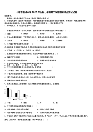 十堰市重点中学2025年生物七年级第二学期期末综合测试试题含解析
