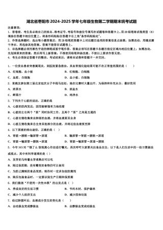 湖北省枣阳市2024-2025学年七年级生物第二学期期末统考试题含解析