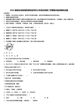 2025届湖北省麻城思源实验学校七年级生物第二学期期末监测模拟试题含解析
