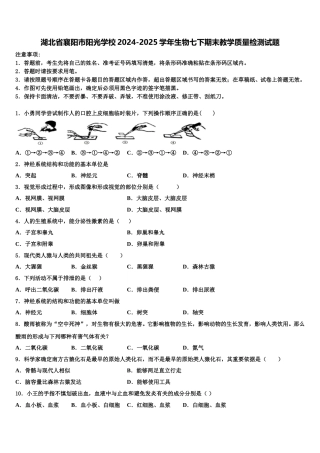 湖北省襄阳市阳光学校2024-2025学年生物七下期末教学质量检测试题含解析