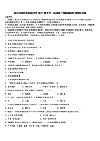 湖北省孝感孝昌县联考2025届生物七年级第二学期期末检测模拟试题含解析