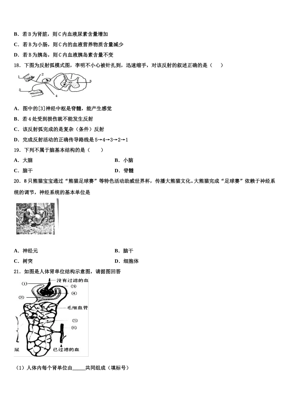 湖北省枣阳市太平一中学2025届七年级生物第二学期期末检测试题含解析_第3页