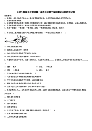 2025届湖北省黄梅县七年级生物第二学期期末达标检测试题含解析