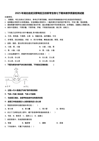 2025年湖北省武汉蔡甸区五校联考生物七下期末教学质量检测试题含解析