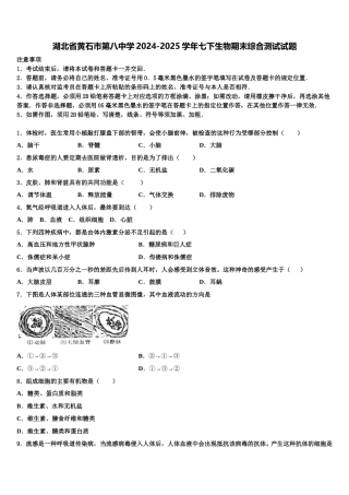 湖北省黄石市第八中学2024-2025学年七下生物期末综合测试试题含解析