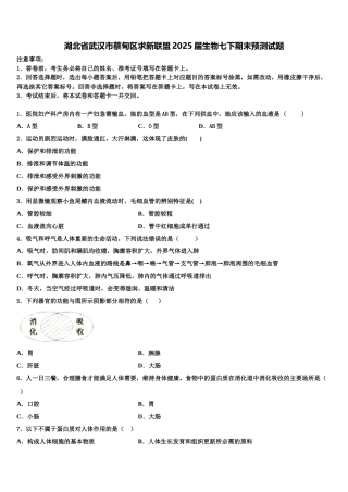 湖北省武汉市蔡甸区求新联盟2025届生物七下期末预测试题含解析