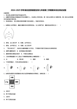 2024-2025学年湖北宣恩椒园生物七年级第二学期期末综合测试试题含解析